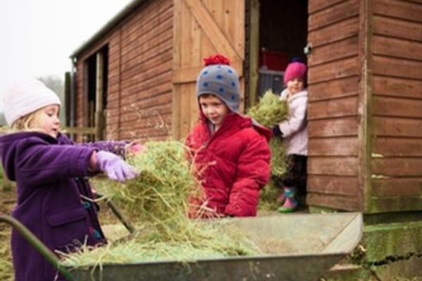 South Hills Nursery Wilton, Salisbury, Wiltshire