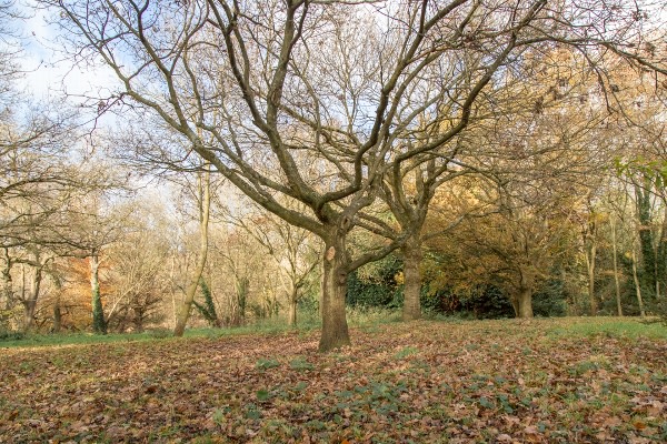 Bright Horizons Inglewood Day Nursery and Preschool, Reading, Berkshire