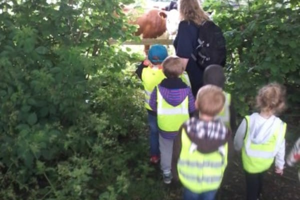 Curious Explorers Day Nursery and Pre-School Farnham GU9 7JZ