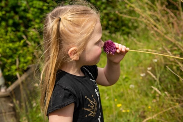 Seedlings Montessori at Moorlands School SO18 5RJ