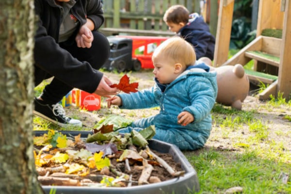 Spring Nursery Thorpe Hamlet NR1 4HT