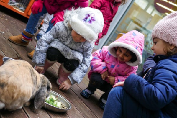 Chestnut Nursery School @ John Perry, John Perry Children's Centre