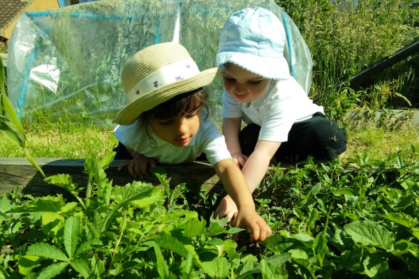 The Webber Nursery, Soskin Drive