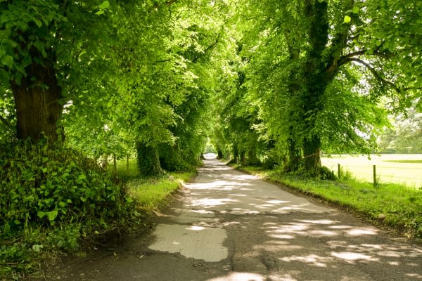 Tigers Day Nursery, Thatcham, Berkshire