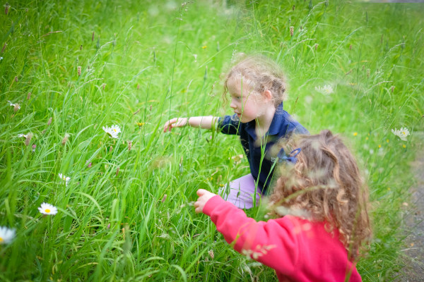 Hatherop Castle Nursery, Cirencester, Gloucestershire