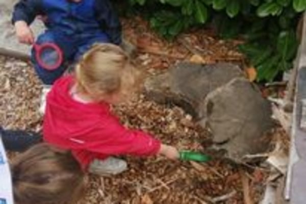 The Cottage Nursery, Dartford, London