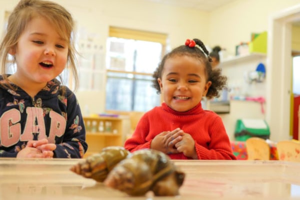 Chestnut Nursery School @ Ray Lodge, Woodford Green, London