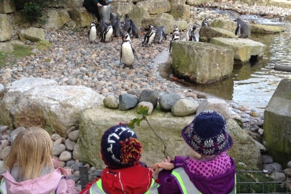 Kids Love Nature Kindergarten at Marwell Zoo, Tompsons Lane