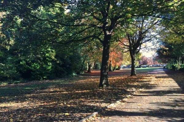 The Nest Nursery, Sheffield, South Yorkshire