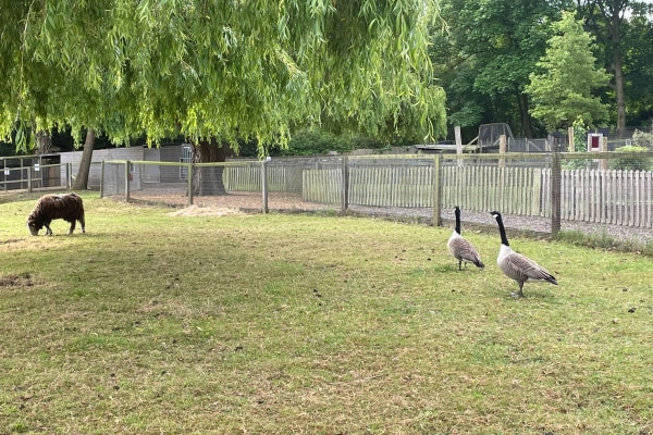 Belmont Farm Nursery School, London