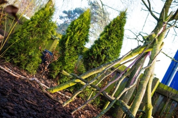 Chestnut Nursery Schools @ Taverham, Norwich, Norfolk