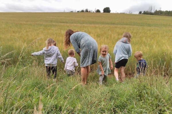 Little Moors Farm Nursery, Kidderminster, Worcestershire