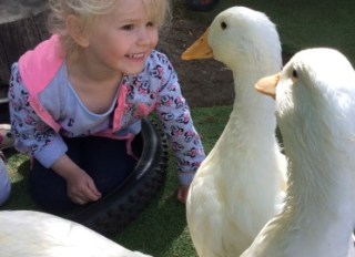 Kids Love Nature Kindergarten at Lytchett Minster, Poole, Dorset